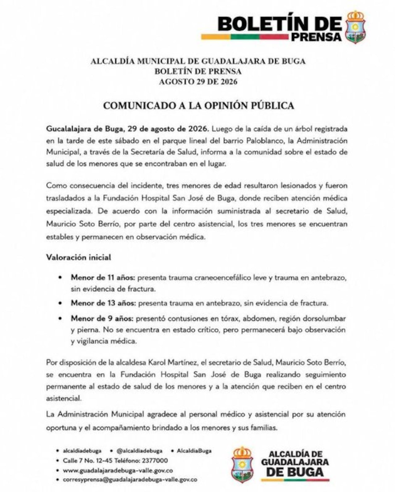 Tres menores resultaron lesionados tras la caída de un árbol en Buga.