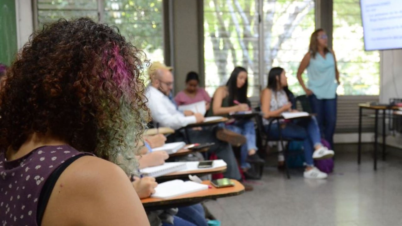 Docentes universitarios