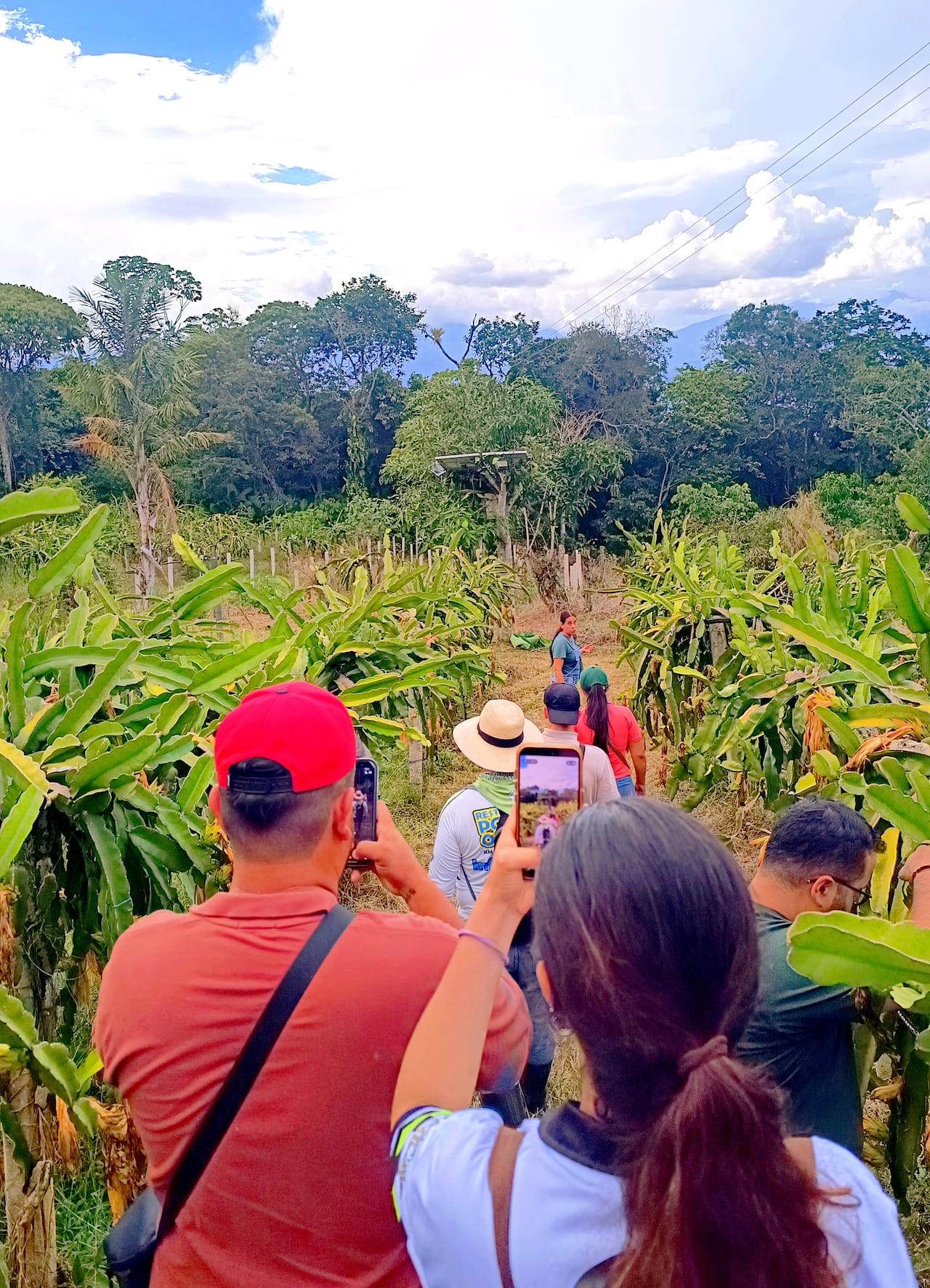 Oiba, municipio de Santander