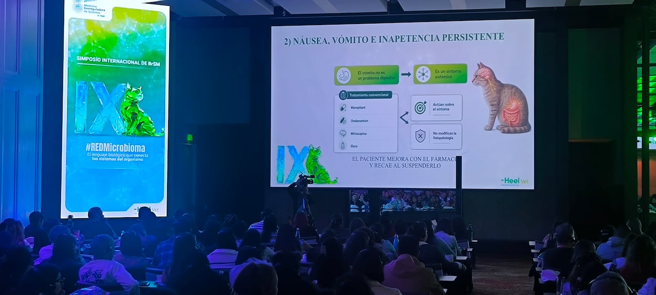 Médicos veterinarios de varios países se dieron cita en Bogotá a comienzos de mes durante el IX Simposio Internacional sobre Medicina Biorreguladora de Sistemas, organizado por Laboratorios Heel Colombia.