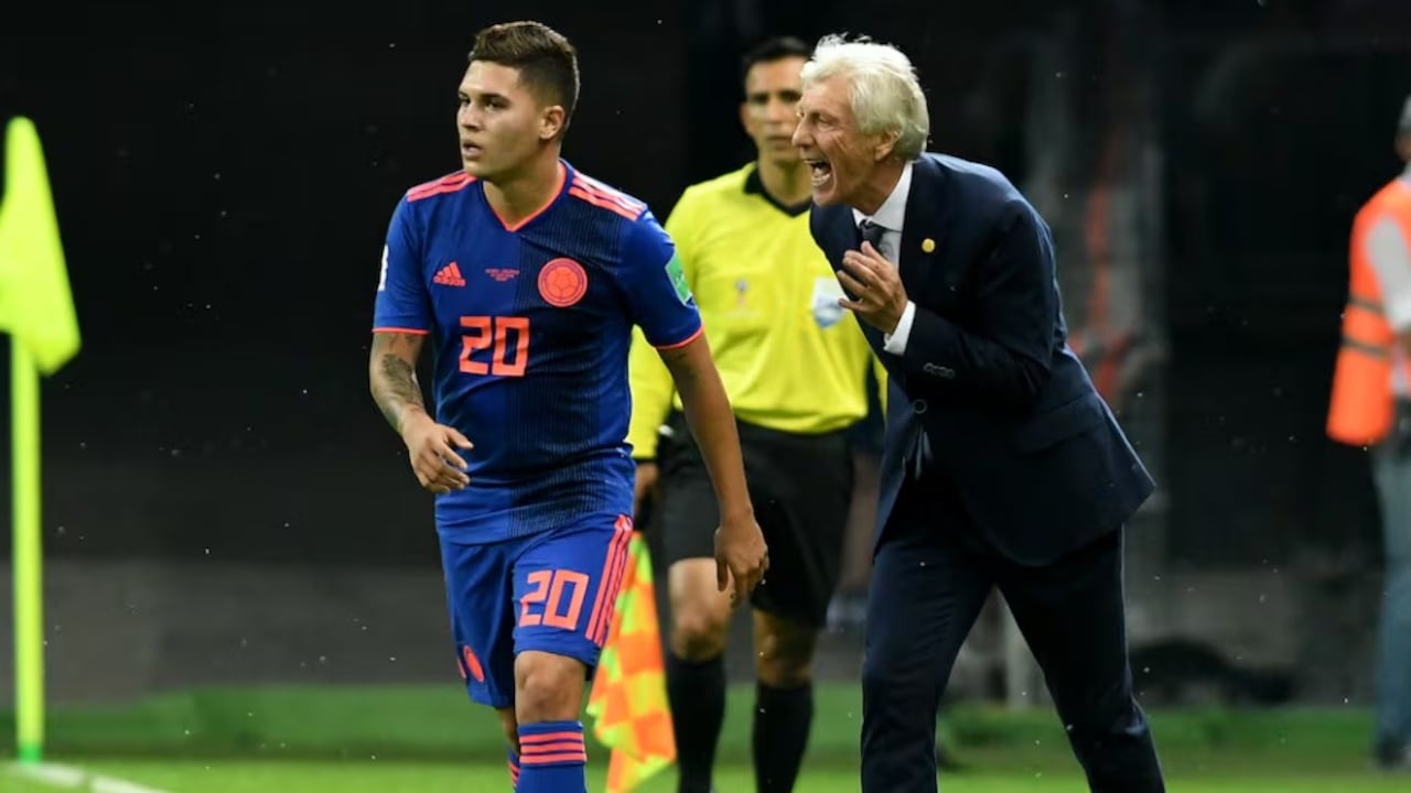 José Néstor Pekerman