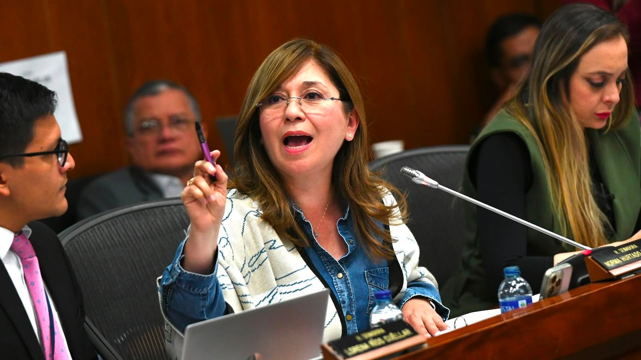 Senadora Norma Hurtado, partido de la U