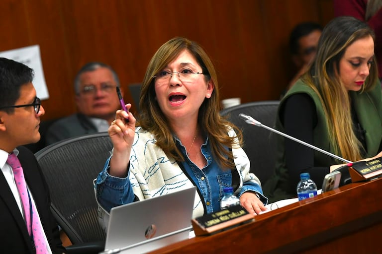 Senadora Norma Hurtado, partido de la U