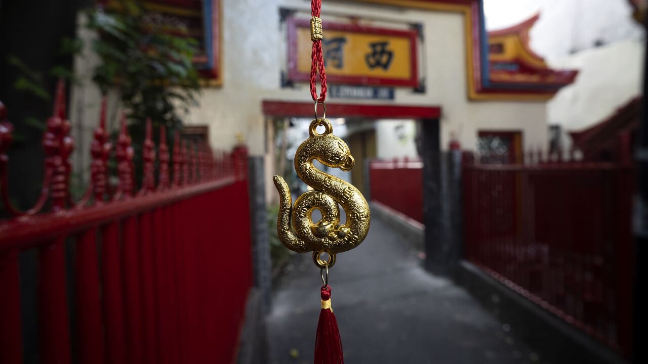 Los números relacionados con la Serpiente de Madera podrían tener un impacto positivo en las apuestas de la lotería.