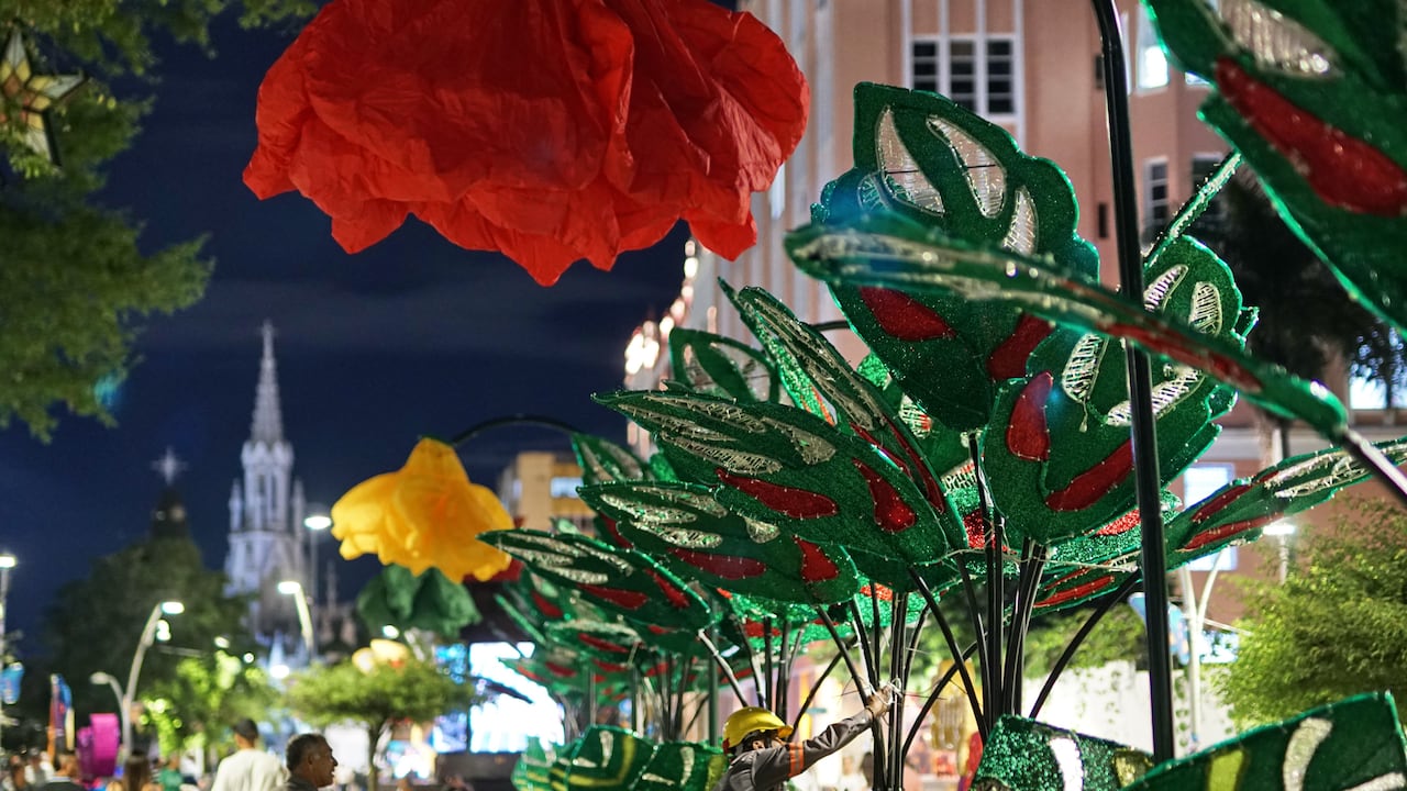 Ensayo del alumbrado de Cali, que este año trae una muestra de cultura e identidad de la ciudad, centrados en la biodiversidad y tradición vallecaucana, por el Bulevar del Río. Foto Jorge Orozco