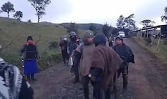La tensión aumenta en el resguardo de Pitayó, municipio de Silvia, tras los choques entre comuneros Misak y Nasa por el acceso a un predio rural en disputa.