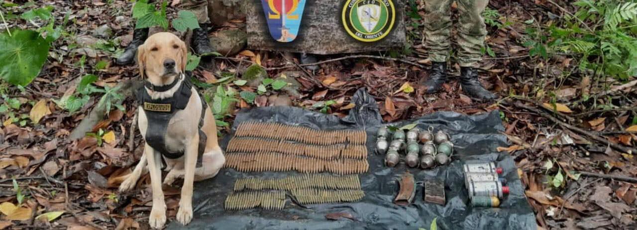 Los hechos se registraron en el municipio de Puerto Rico.