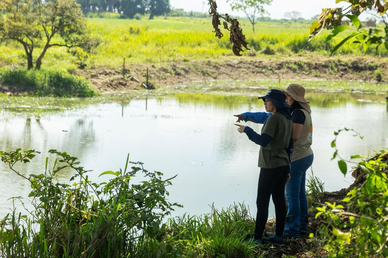 En total, 23 humedales estratégicos fueron intervenidos durante 2025 con una inversión cercana a $1700 millones.