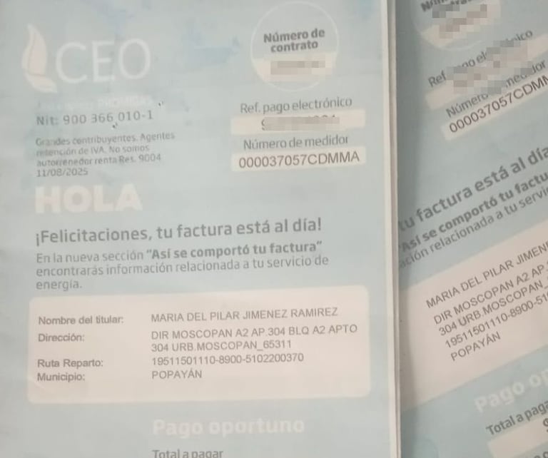CEO advirtió que la modificación al Fondo de Energía Social podría incrementar hasta en un 30 % el valor de la factura de energía para cerca de 178.000 usuarios del Cauca.