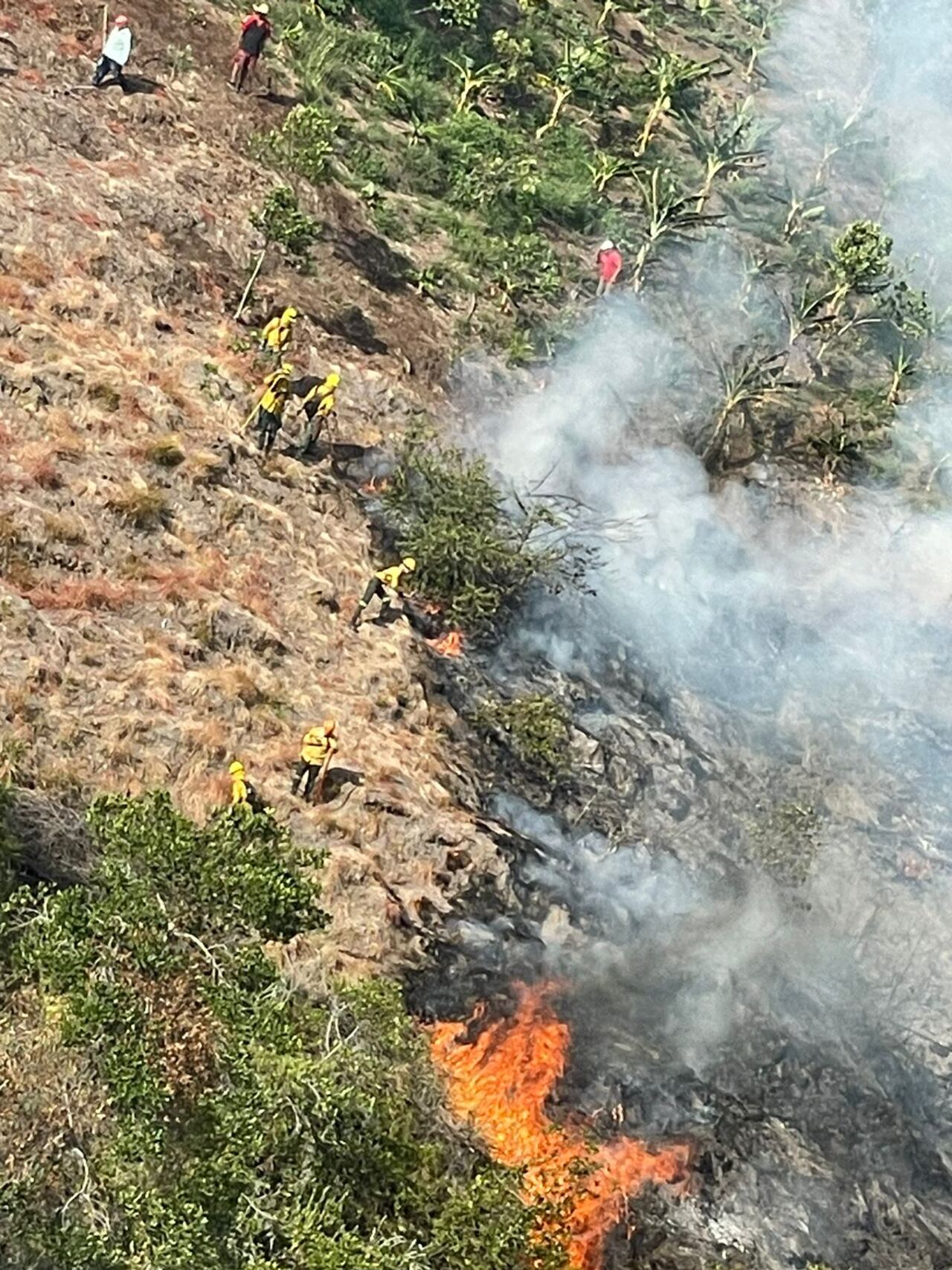 Son varias hectáreas de vegetación las que se han afectado por el actuar criminal en el Yotoco.