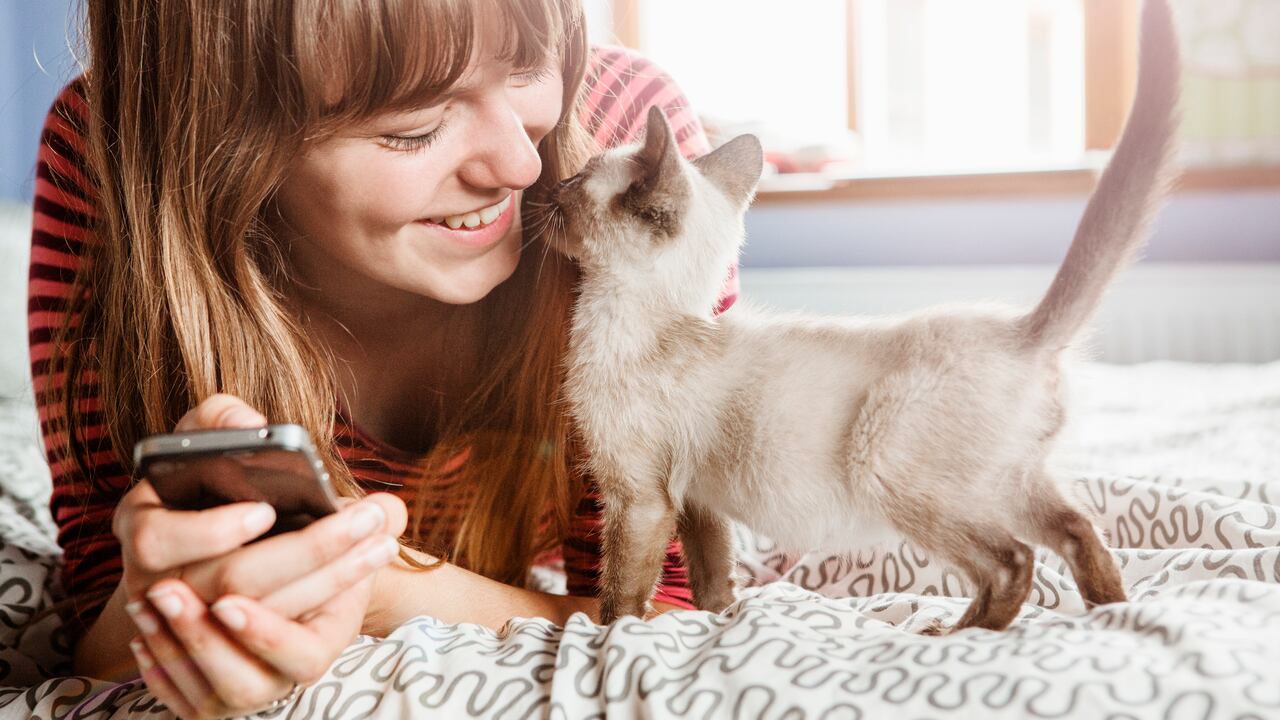 El gato se había convertido en una gran compañía después de que el padre de la mujer muriera.