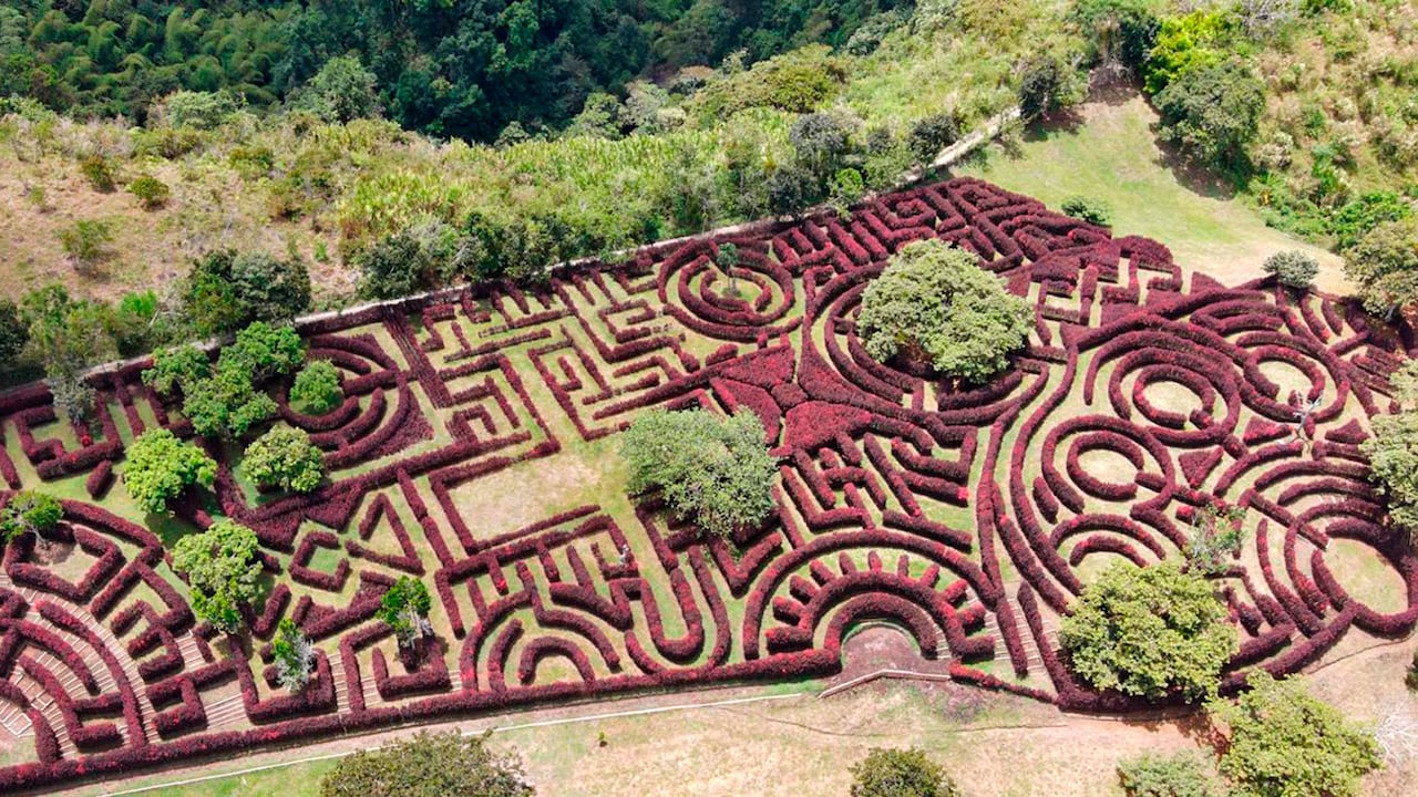 Uno de los más grandes laberintos vegetales de Latinoamérica está en Quimbaya, Quindío. Laberinto mil caminos