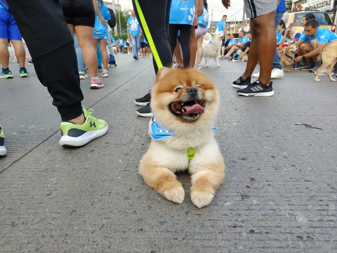 Caminata Ladridos por la Paz, Evento organizado por la Emisora Boom en Alianza con el País de Cali