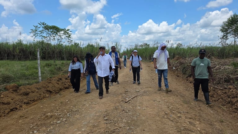 El comandante afirmó que cerca de 200 integrantes de su estructura estarían listos para iniciar su transición a la vida civil en el marco de los diálogos.