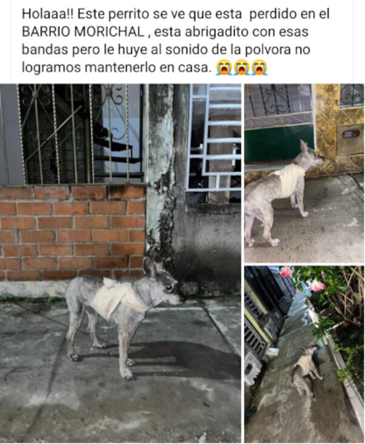 Los que sufren la pólvora