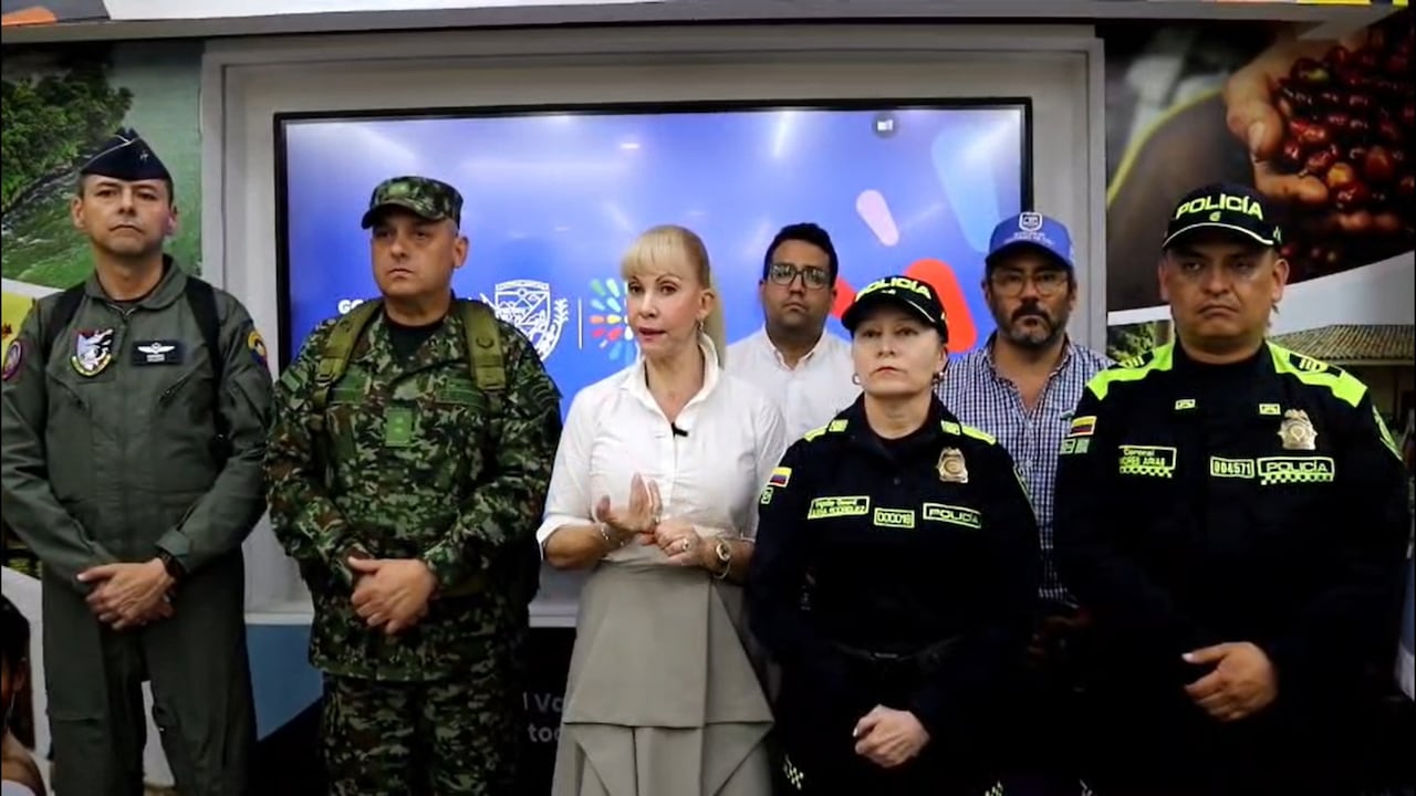 Dilian Francisca Toro entregó detalles del consejo de seguridad.