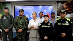 Dilian Francisca Toro entregó detalles del consejo de seguridad.