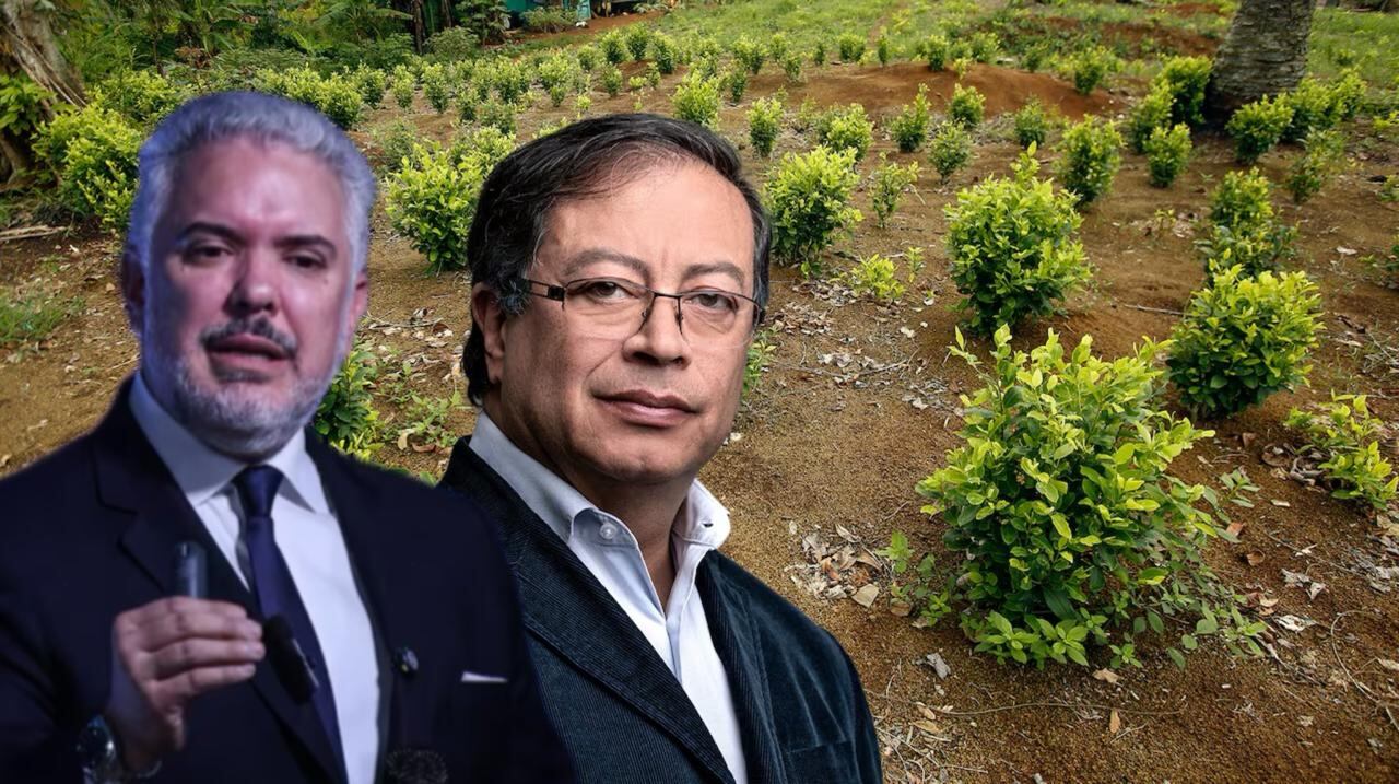 Iván Duque le respondió a Gustavo Petro por los cultivos de coca.