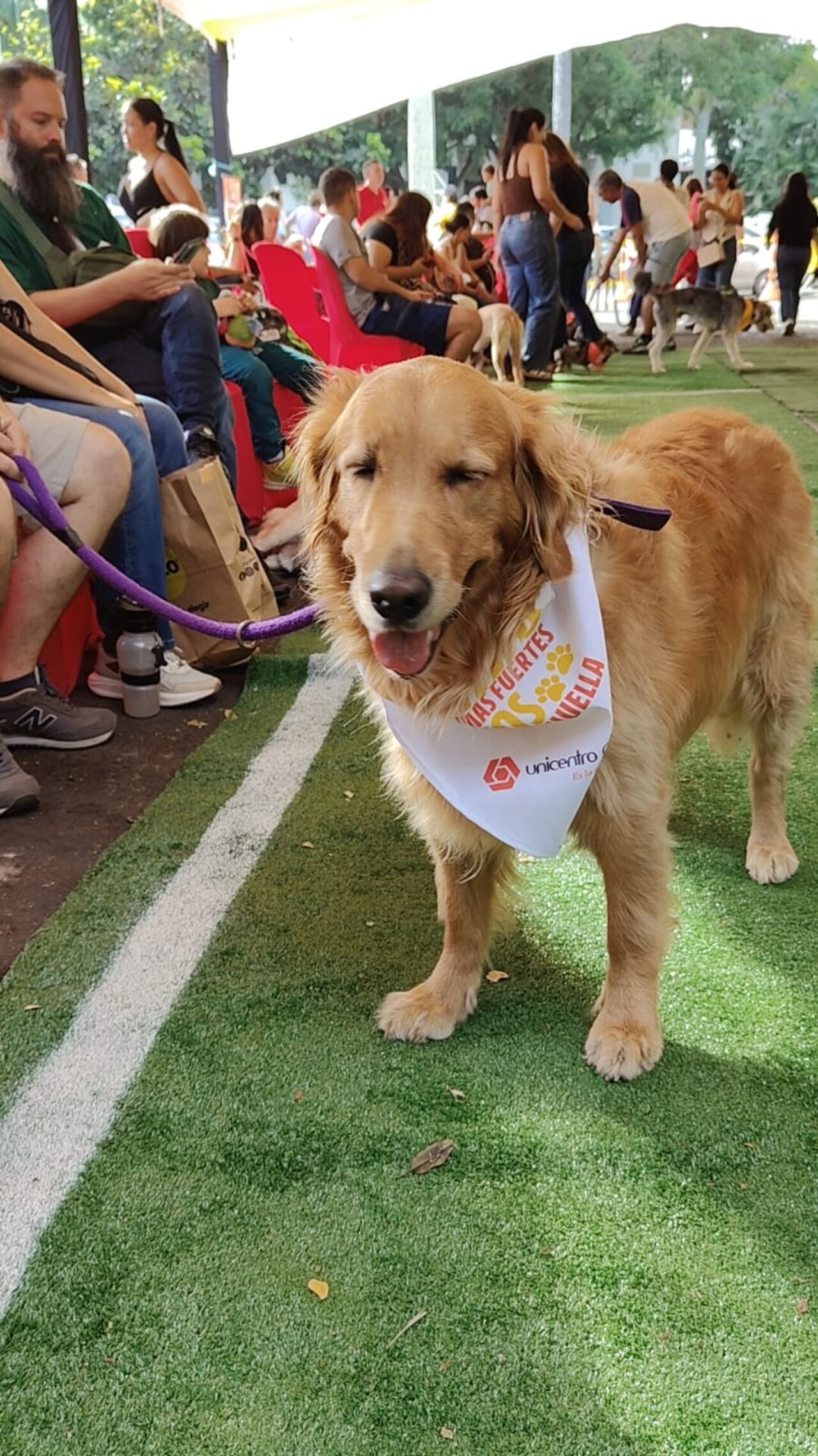 Uno de los espacios del evento estuvo dedicado a la adopción de mascotas que esperan encontrar una familia y comenzar una nueva vida.