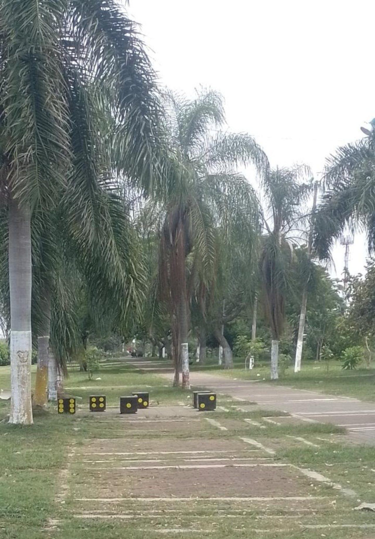 Vista panorámica del Bosque Urbano Pulmón de Oriente, un corredor ambiental que conecta las comunas 14 y 21 de Cali.
