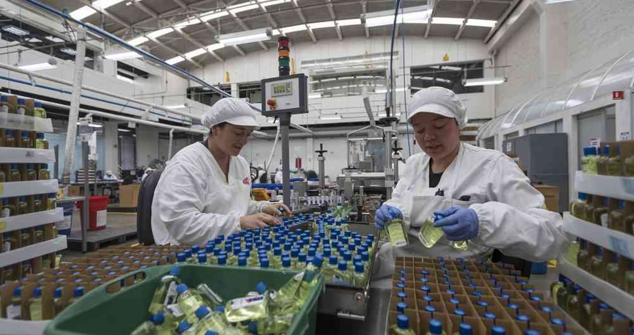 La compañía colombiana Masglo llevará sus productos al mercado estadounidense a través de Amazon.