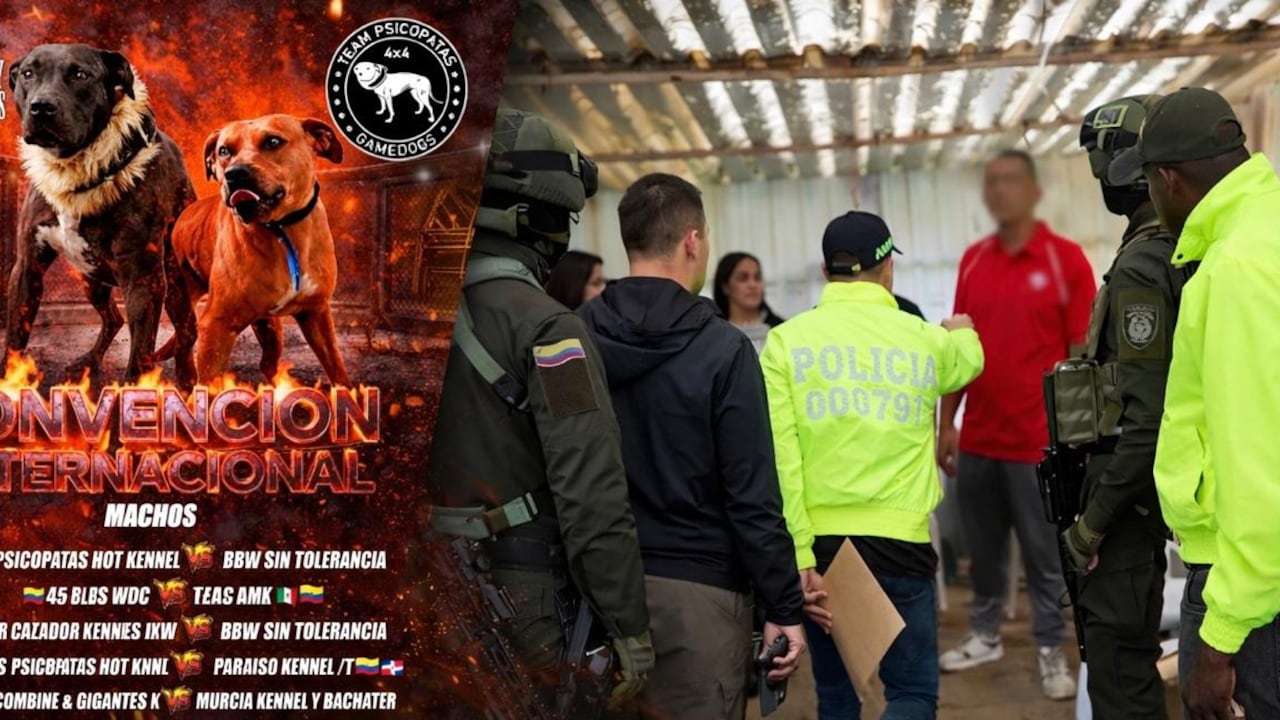 Autoridades desmantelaron en La Calera red internacional encargada de organizar peleas de perros.
