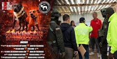 Autoridades desmantelaron en La Calera red internacional encargada de organizar peleas de perros.