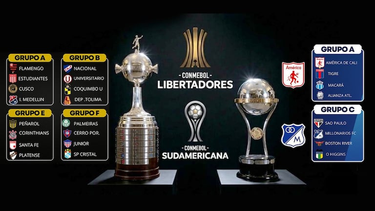 Seis equipos colombianios estarán en los torneos internacionales, cuatro en la Copa Libertadores y dos en la Suramericana.