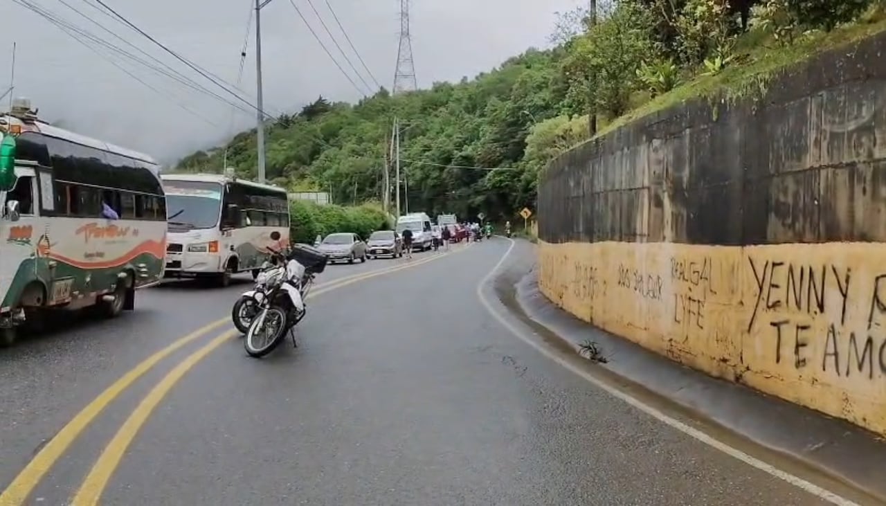Árbol caído en la Vía al Mar.