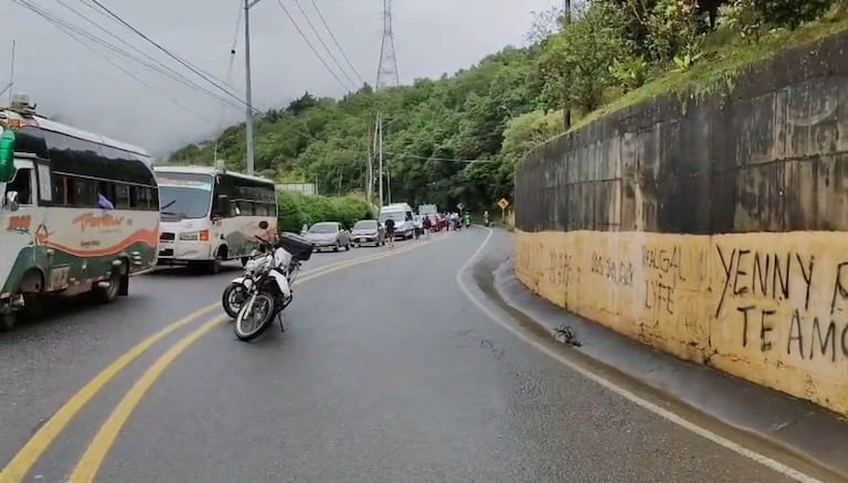 Árbol caído en la Vía al Mar.
