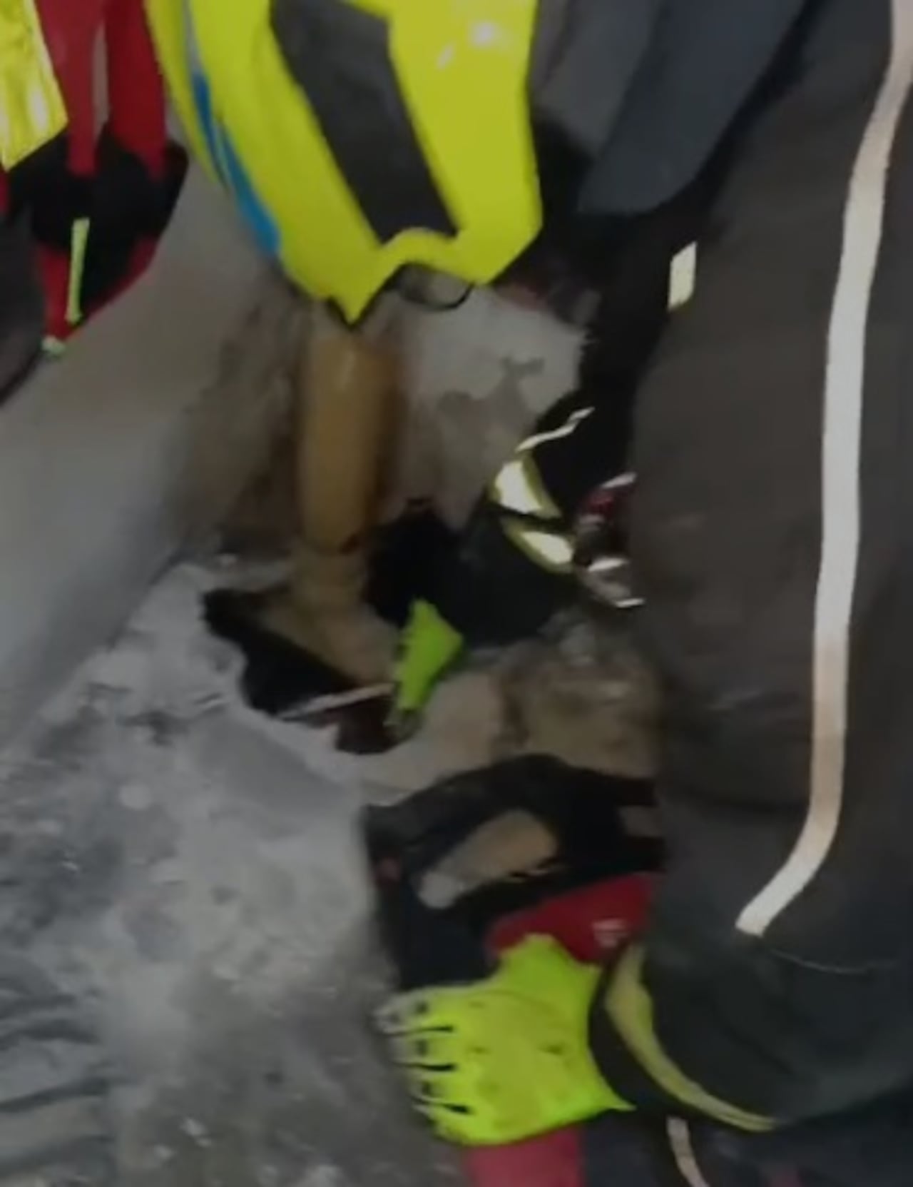 El perrito buscó de forma desesperada refugio ante el sonido ensordecedor de la pólvora.