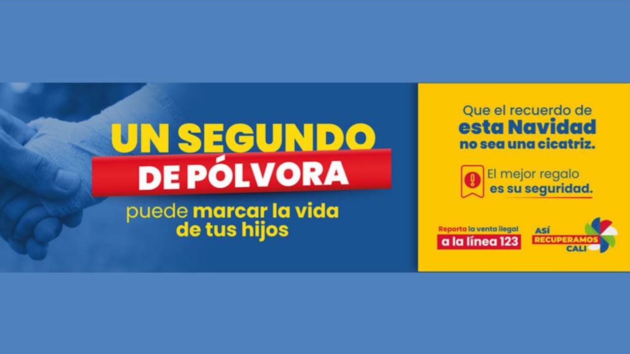 Usualmente, el ruido de los fuegos artificiales puede alterar el sueño, generar ansiedad y causar crisis a las personas y los animales.