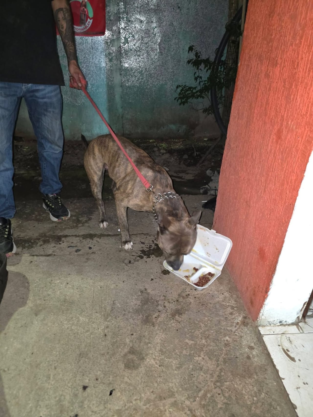 Según versiones de las personas que atendieron la emergencia, Toby viajaba en uno de los buses afectados por el ataque, en el que murieron varios de sus ocupantes.