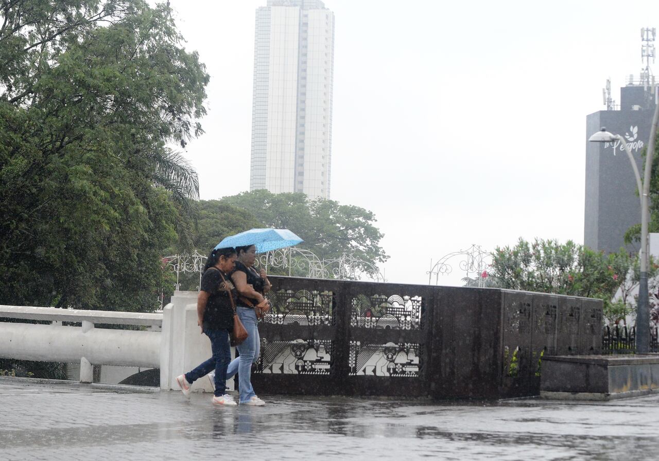 Cali: Lluvias en la ciudad desde tempranas horas de mañana generan caída de árboles en el oeste de Cali