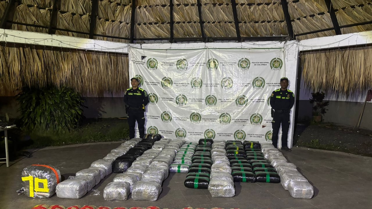 Marihuana incautada en el municipio de Candelaria.