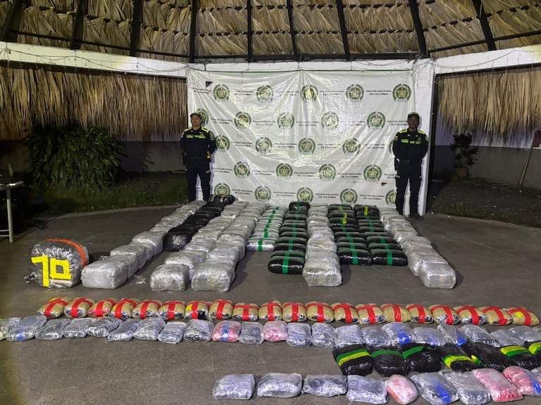 Marihuana incautada en el municipio de Candelaria.