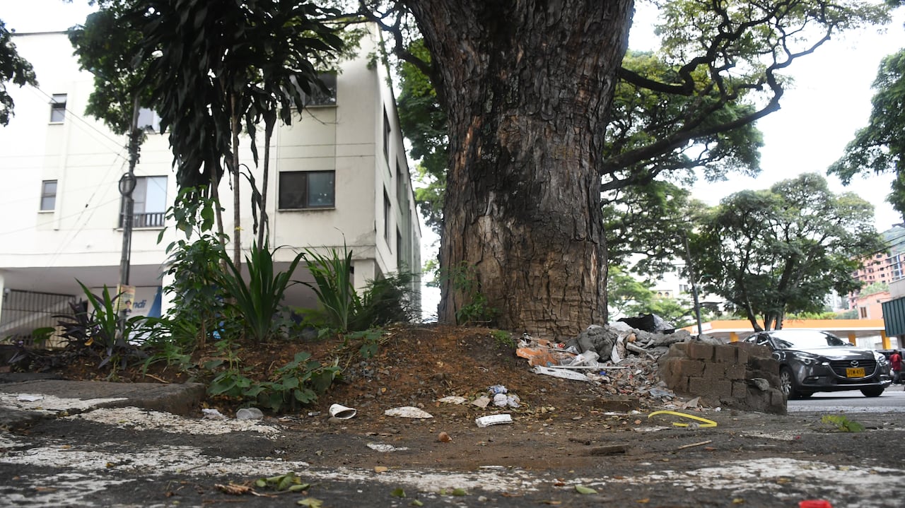 Fotodenuncia: Árbol av 6, obra inconclusa y botadero de basura.