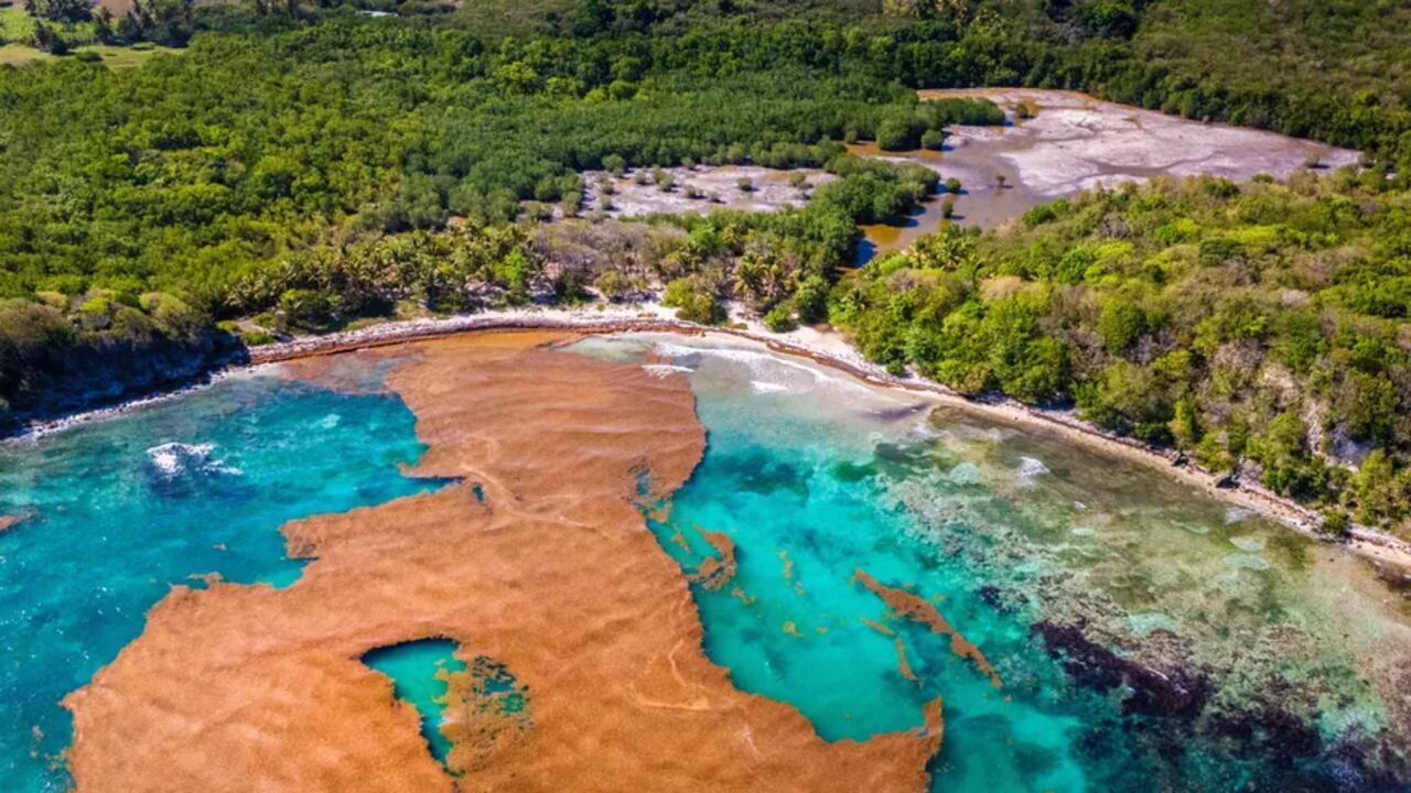 Franja marrón en el Atlántico vuelve a encender alertas ambientales.