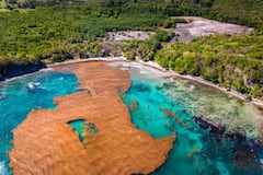 Franja marrón en el Atlántico vuelve a encender alertas ambientales.