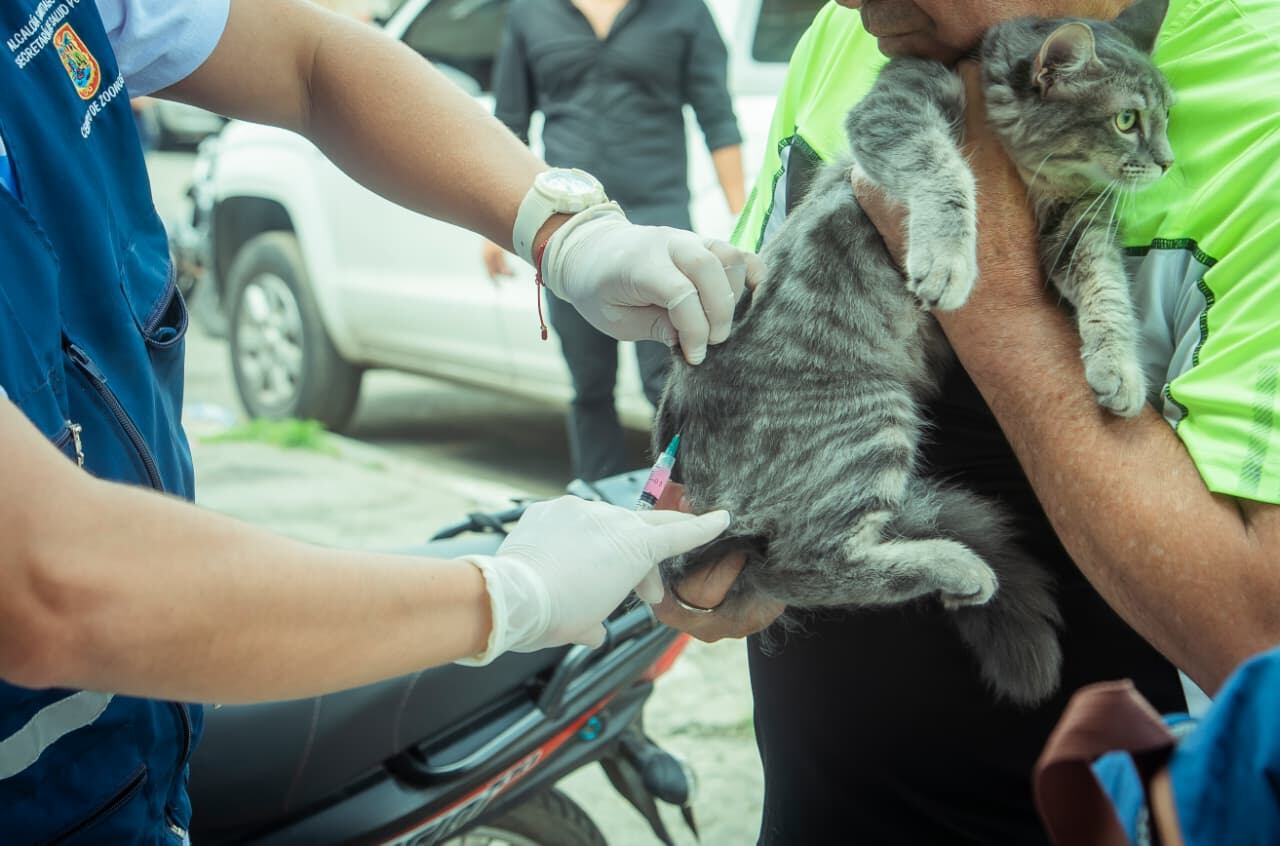 La vacunación es importante para prevenir enfermedades.