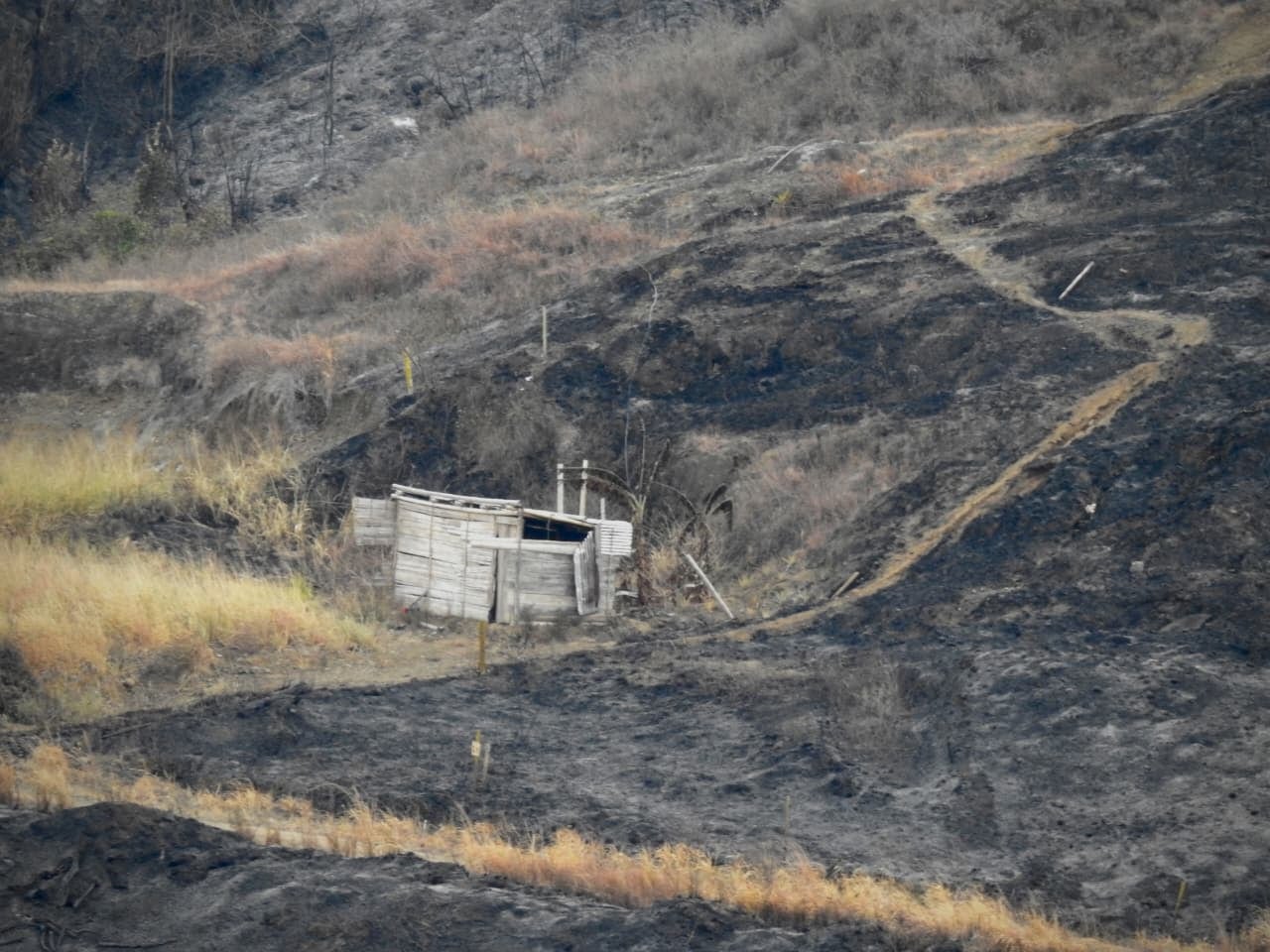 Las impactantes imágenes que dejó la emergencia ambiental en Altos de Menga.