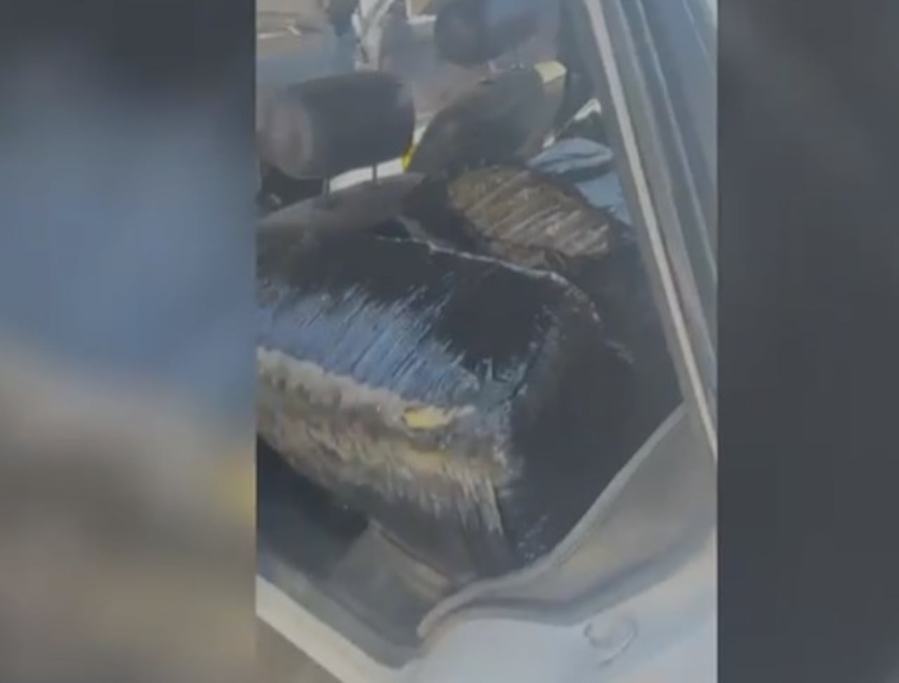 Operativo en zona rural: En el sector La Bolsa, en Villa Rica, la Policía capturó a una persona en flagrancia con un cargamento de marihuana.