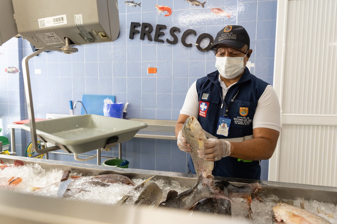 Cali intensifica controles sanitarios en expendios de alimentos por Semana Santa
pescado
camarones