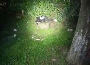 El cadáver de Diego Andrés Vallejo quedó a un costado de la vía que comunica Santander de Quilichao con Cali, y de acuerdo con las autoridades, el joven murió tras ser atacado con arma de fuego.