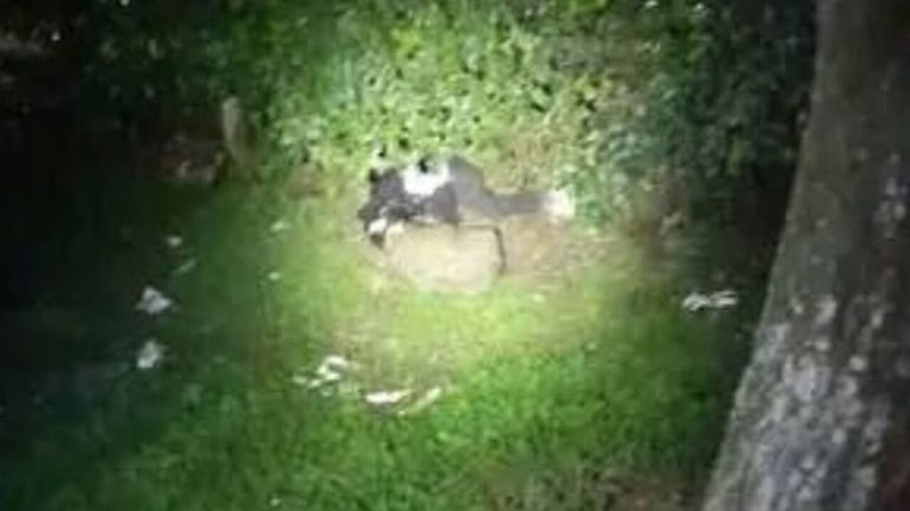 El cadáver de Diego Andrés Vallejo quedó a un costado de la vía que comunica Santander de Quilichao con Cali, y de acuerdo con las autoridades, el joven murió tras ser atacado con arma de fuego.