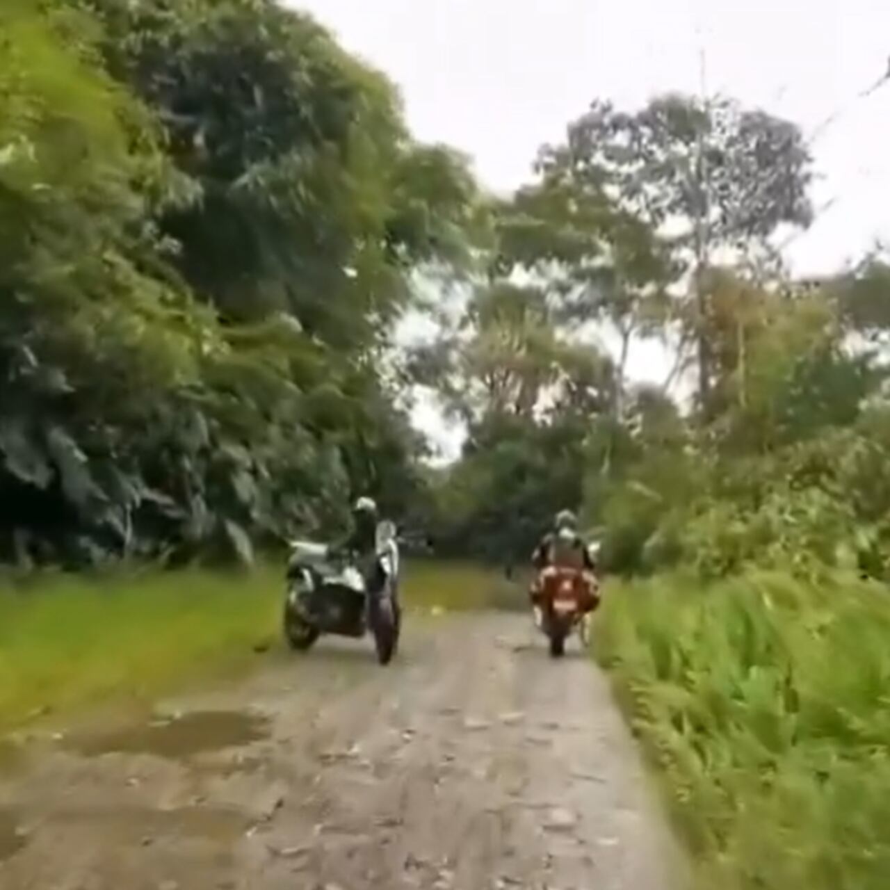 Al notar algo extraño, los que iban adelante comenzaron a indicarle a sus compañeros que dieran la vuelta.