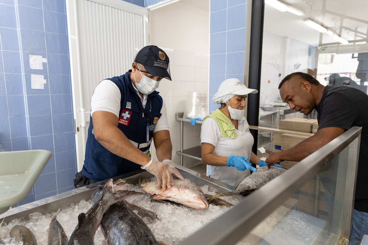 Cali intensifica controles sanitarios en expendios de alimentos por Semana Santa
pescado
camarones