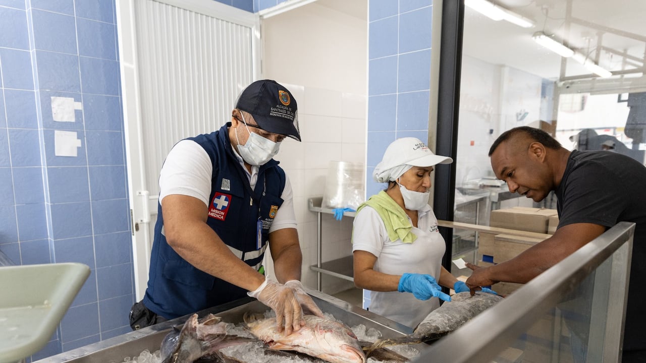 Cali intensifica controles sanitarios en expendios de alimentos por Semana Santa
pescado
camarones