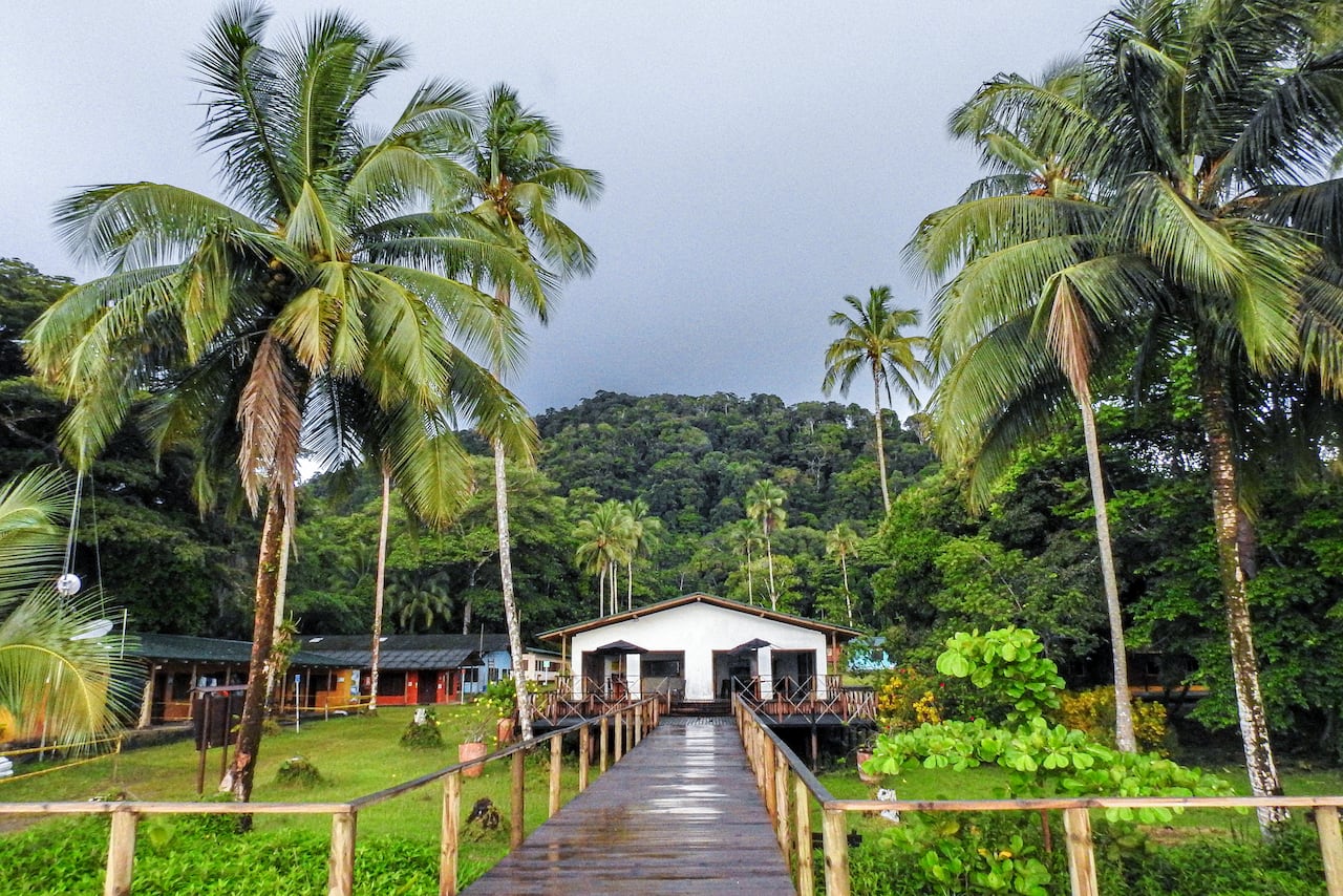 La Isla Gorgona, ubicada en el Pacífico colombiano (Cauca), es un Parque Nacional Natural famoso por ser un "laboratorio vivo" de biodiversidad, que pasó de ser una temida prisión de máxima seguridad (1959-1984) a un paraíso ecoturístico. Destaca por sus arrecifes de coral, avistamiento de ballenas jorobadas (julio-octubre), buceo, ruinas selváticas y especies endémicas.