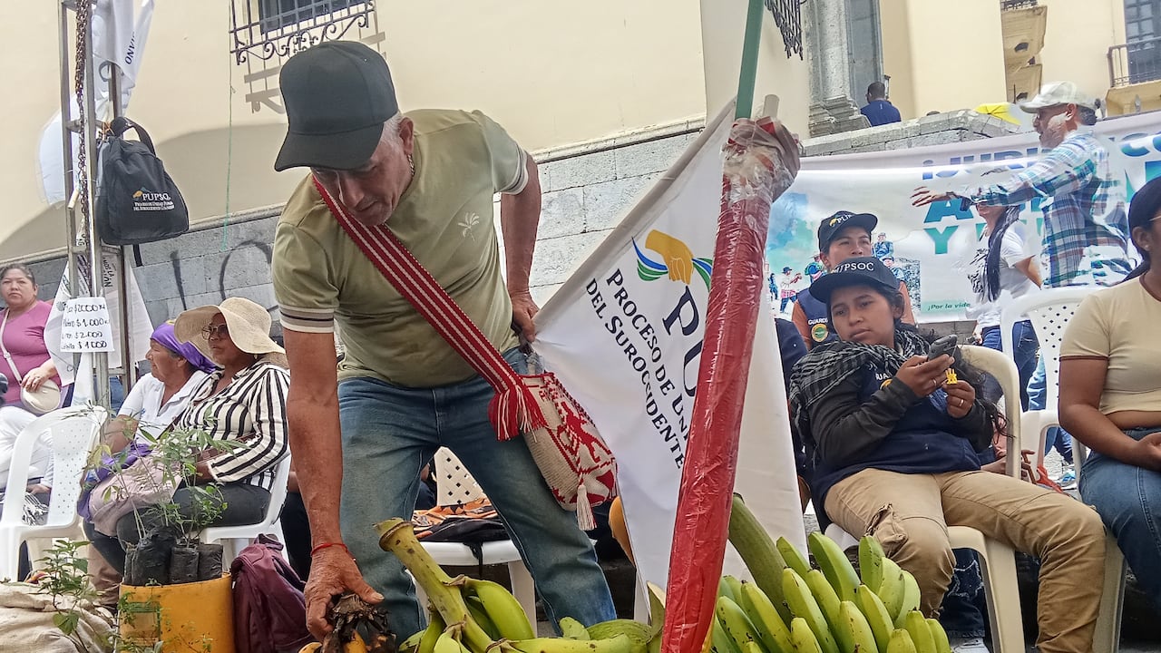 Es que la apuesta del gobierno de Gustavo Petro busca redistribuir la tierra, formalizar predios rurales y reducir la desigualdad histórica que ha marcado a millones de campesinos en el país, como en el caso del Cauca, donde las comunidades agrarias ahora están volcadas en las calles de Popayán para respaldar esa iniciativa, de paso, apoyar la candidatura de Iván Cepeda a la presidencia.